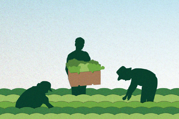 glean-2.png